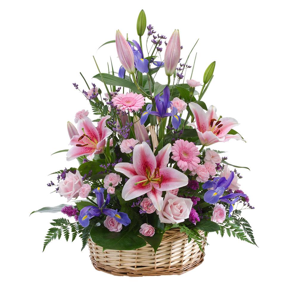 Sympathy Basket Suitable for Home or Service

Express your love and thoughts with this beautiful symbol of life. Abundance is a stunning floral tribute, overflowing with pink and purple florals. Suitable for delivery to home or service.

Flowers may vary from the image displayed due to seasonal availability. We'll craft an arrangement which is similar in style using seasonal flowers that is equal or greater in value. 