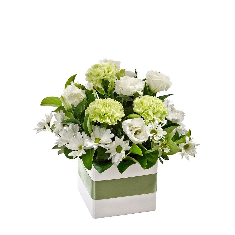 Petite Box Arrangement

This delightfully cute gift is the perfect way to say 'happy birthday' or 'thank you'. The petite arrangement combines light mint with fresh whites, and is presented in a white box with soft green ribbon. Make their day even more special with Avocado.

Flowers may vary from the image displayed due to seasonal availability. We'll craft an arrangement which is similar in style using seasonal flowers that is equal or greater in value. 