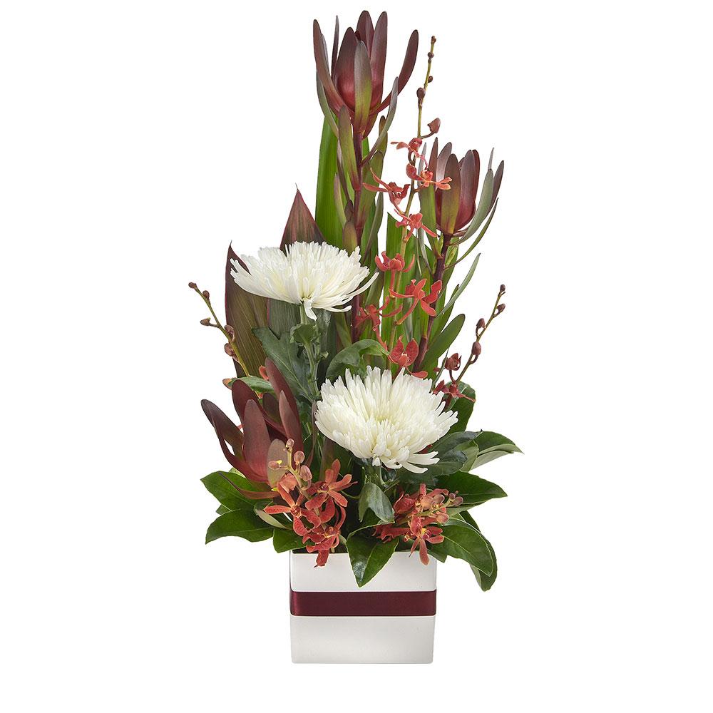 Mixed Box Arrangement

A stunning combination of earth-toned natives with bright white disbud chrysanthemums, this arrangement is well suited to any occasion. Expertly presented in a white box with burgundy ribbon, Garnet will astound your recipient. Order now and let a local florist brighten their day.

Flowers may vary from the image displayed due to seasonal availability. We'll craft an arrangement which is similar in style using seasonal flowers that is equal or greater in value. 