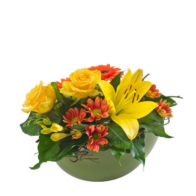 Mixed Arrangement in a Ceramic Container

The unique Citrus features fiery toned blooms highlighted by deep green foliage. Presented in an elegant ceramic container, they will love this surprise. Add balloons or chocolates to make this gift even more special.

Flowers may vary from the image displayed due to seasonal availability. We'll craft an arrangement which is similar in style using seasonal flowers that is equal or greater in value. 