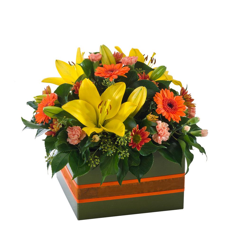 Mixed Box Arrangement

Dazzle them with this delightful floral gift. Mixed blooms in sunshine yellow, warm orange, and soft pink, with lush foliage, sit within a presentation box. Ideal for delivery to a hospital or nursing home, it will brighten any space.

Flowers may vary from the image displayed due to seasonal availability. We'll craft an arrangement which is similar in style using seasonal flowers that is equal or greater in value. 
