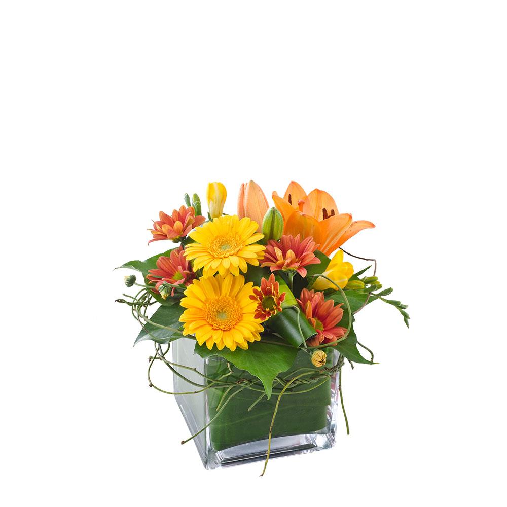 Mixed Arrangement in a Glass Cube

Bright and colourful, this arrangement is a brilliant combination of colours and textures. Ginger comes in a glass cube vase finished with lush foliage and dodda vine.

Flowers may vary from the image displayed due to seasonal availability. We'll craft an arrangement which is similar in style using seasonal flowers that is equal or greater in value. 