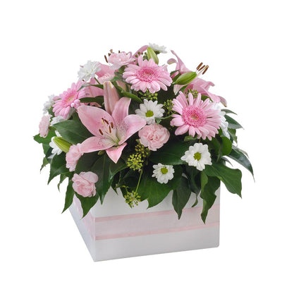 Mixed Box Arrangement

Send your love with Softness, a pretty in pink mixed arrangement sure to impress. Gentle pink blooms with white touches and lush foliage are presented in a white box with pink ribbon. Add chocolates or a teddy bear to complete your gift.

Flowers may vary from the image displayed due to seasonal availability. We'll craft an arrangement which is similar in style using seasonal flowers that is equal or greater in value. 