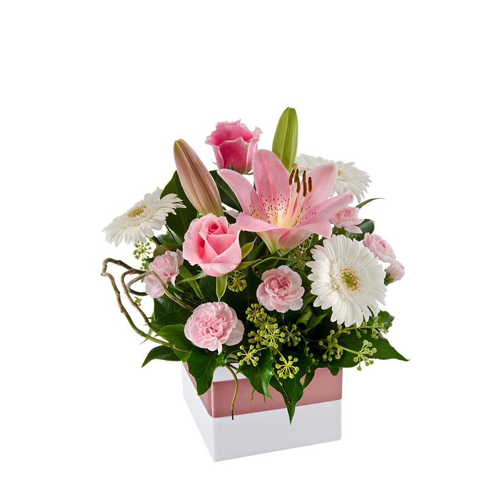 Petite Box Arrangement

This petite floral arrangement is the perfect way to show a loved one that youÕre thinking of them. Delicate pink lilies, roses, and carnations, are presented amongst lovely white and green, in a white box with pink ribbon. Add a balloon or teddy bear to complement the charming Sweetly.

Flowers may vary from the image displayed due to seasonal availability. We'll craft an arrangement which is similar in style using seasonal flowers that is equal or greater in value. 