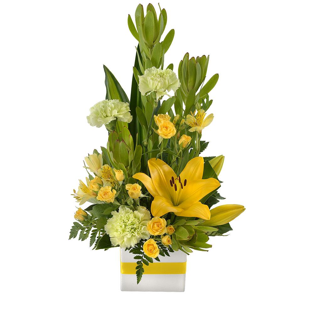 Mini Box Arrangement

Send them heartfelt wishes with this stunning arrangement. Bright yellow blooms will bring joy to their space, perfectly presented in a white box with cheery ribbon. Well Wishes is ideal for sending to a hospital or nursing home.

Flowers may vary from the image displayed due to seasonal availability. We'll craft an arrangement which is similar in style using seasonal flowers that is equal or greater in value. 