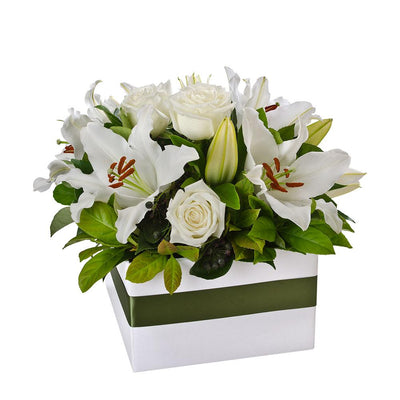 Elegant Box Arrangement

This elegant white and green arrangement features lilies and roses amongst green foliage, presented in a white box with olive ribbon. Harmony is expertly presented and will be adored for any occasion.

Flowers may vary from the image displayed due to seasonal availability. We'll craft an arrangement which is similar in style using seasonal flowers that is equal or greater in value. 
