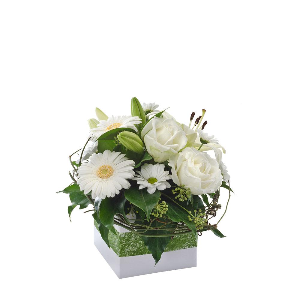 Petite box Arrangement Suitable for Home

Hope is a soft white arrangement of mixed blooms nestled amongst choice foliage in a petite-box arrangement. A great way to send your thoughts to any loved one.

Flowers may vary from the image displayed due to seasonal availability. We'll craft an arrangement which is similar in style using seasonal flowers that is equal or greater in value. 