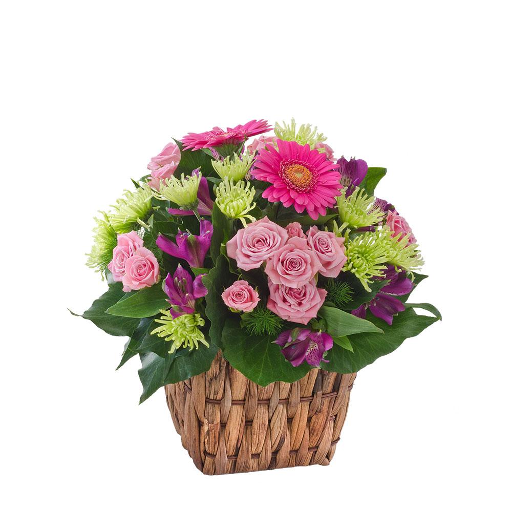 Bright Arrangement in a Basket

Fun, frivolity and a kaleidoscope of colour. Jazz is about as bright and colourful as it gets. This striking arrangement is ideal for the home or office and makes for a very impressive gift.

Flowers may vary from the image displayed due to seasonal availability. We'll craft an arrangement which is similar in style using seasonal flowers that is equal or greater in value. 