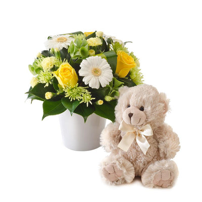 Bright Mixed Arrangement with a Teddy Bear

A delightful gift for the arrival of a new baby, boy or girl! A bright mixed arrangement of flowers in a ceramic pot, accompanied by a gorgeous teddy bear, suitable for delivery to a home or hospital.

Flowers may vary from the image displayed due to seasonal availability. We'll craft an arrangement which is similar in style using seasonal flowers that is equal or greater in value. 