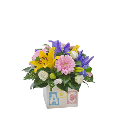 Bright Mixed Blooms in a Ceramic Cube

My First ABC is a beautiful combination of seasonal blooms amid mixed greenery, displayed in a gorgeous ceramic container to welcome baby to the world! Add a teddy bear or helium balloon to make this gift even more special.

Flowers may vary from the image displayed due to seasonal availability. We'll craft an arrangement which is similar in style using seasonal flowers that is equal or greater in value. 