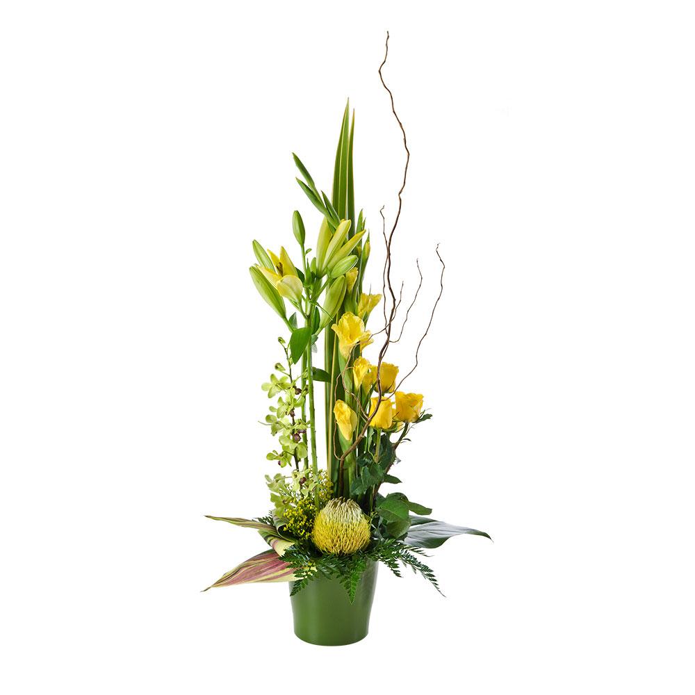 Large Designer Arrangment

A modern arrangement combining native blooms and foliage, artistically arranged for dramatic impact. Radiance makes an ideal corporate arrangement or an impressive gift.

Flowers may vary from the image displayed due to seasonal availability. We'll craft an arrangement which is similar in style using seasonal flowers that is equal or greater in value. 