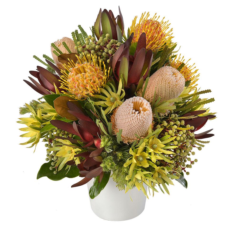 Arrangement of Wildflowers in a Ceramic Vase

A sophisticated gift for the lover of natives and wildflowers, this arrangement is a stunning combination of earth tones in striking textures. Expertly handcrafted and presented in a white ceramic vase, this premium arrangement is sure to please.

Flowers may vary from the image displayed due to seasonal availability. We'll craft an arrangement which is similar in style using seasonal flowers that is equal or greater in value. 