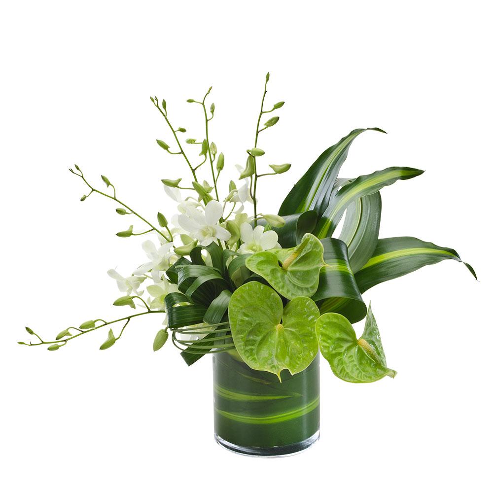 Elegant Arrangement in a Glass Vase

This elegant arrangement is striking in appearance, combining stunning greens and creamy whites. This gift is expertly crafted and presented in a glass vase. Impress them on any occasion with Serene.

Flowers may vary from the image displayed due to seasonal availability. We'll craft an arrangement which is similar in style using seasonal flowers that is equal or greater in value. 