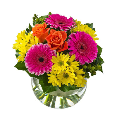 Bright Bouquet in a Fishbowl Vase

This rainbow of seasonal blooms will brighten their day! Perfect for a birthday or the colour lover in your life, Splice is expertly presented in a glass fishbowl ideal for reuse. Complete their gift with a bright balloon or sparkling wine.

Flowers may vary from the image displayed due to seasonal availability. We'll craft an arrangement which is similar in style using seasonal flowers that is equal or greater in value. 