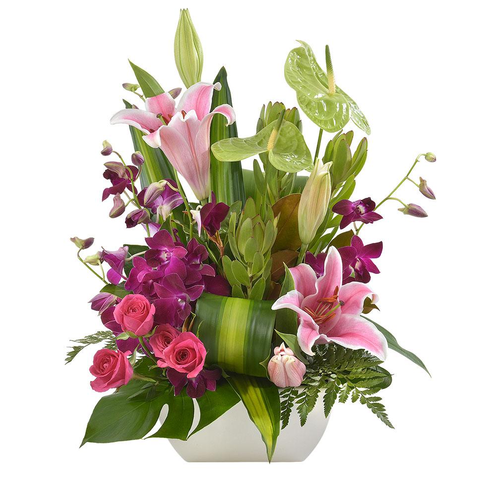 Bright Arrangement in a Ceramic Vase

Beautifully colourful, this premium arrangement features soft pink, fuschia, and stunning purple amongst radiant greens. Stylishly presented in a low ceramic vase, Vibrance will be adored by your recipient.

Flowers may vary from the image displayed due to seasonal availability. We'll craft an arrangement which is similar in style using seasonal flowers that is equal or greater in value. 