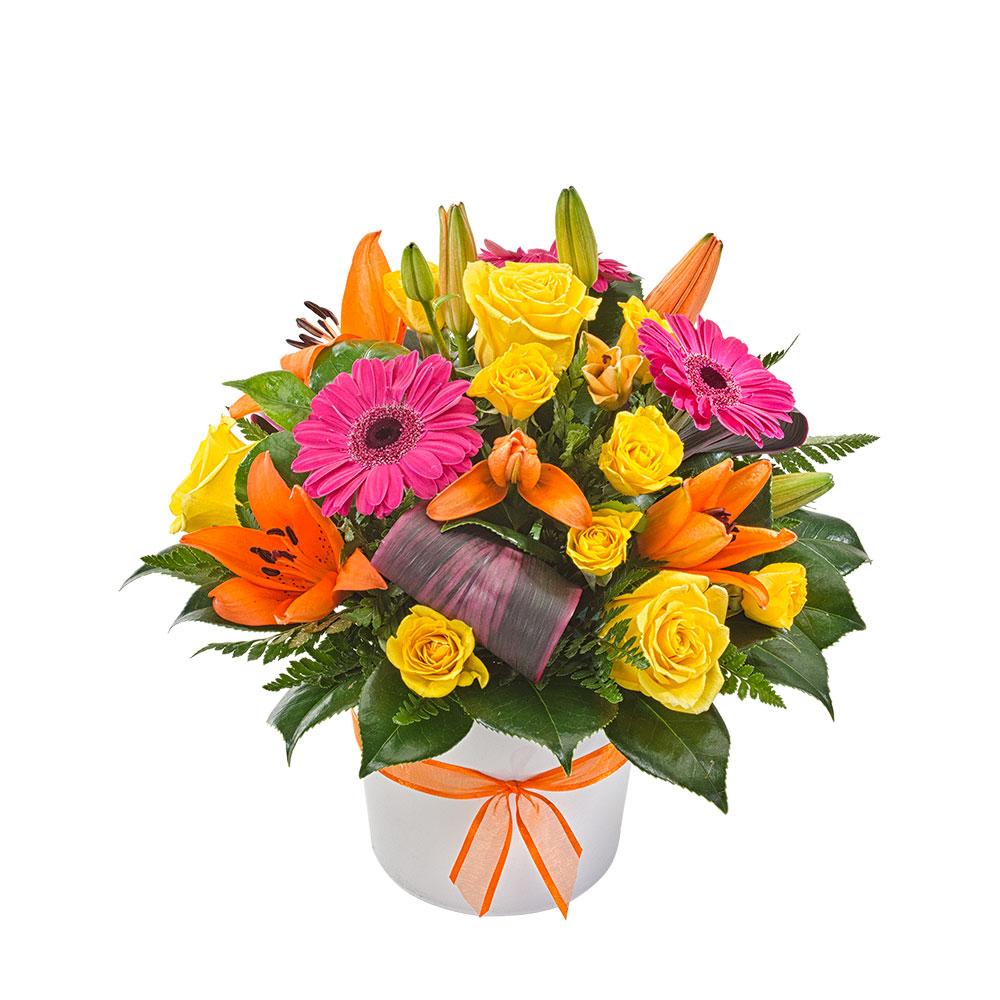 Bright Mixed Arrangement in a Ceramic Container

Give someone a gift that is truly beautiful! A rainbow of seasonal blooms amid mixed greenery displayed in a ceramic container. They will be dazzled by Viva.

Flowers may vary from the image displayed due to seasonal availability. We'll craft an arrangement which is similar in style using seasonal flowers that is equal or greater in value. 